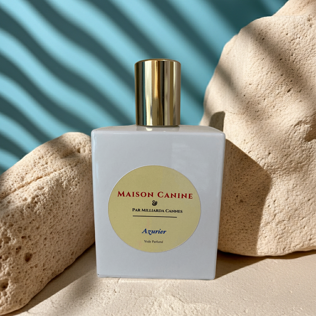 Maison Canine veil perfumé dog mist Azurier in white perfume bottle with gold cap on a textured beige surface with blue background