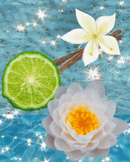 LE CORAIL Femme