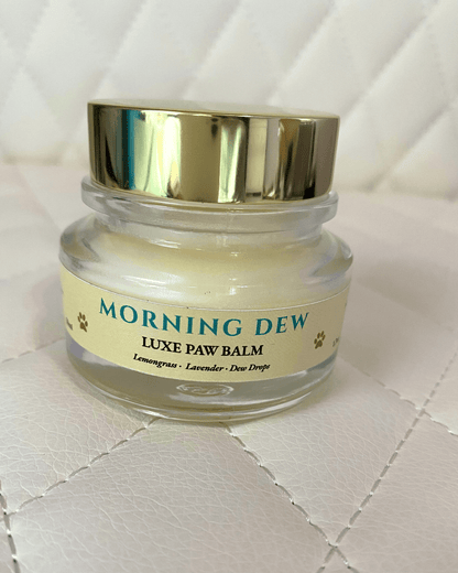MORNING DEW Paw Balm