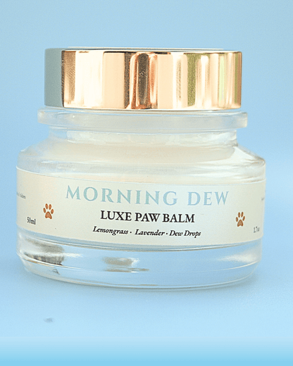 MORNING DEW Paw Balm