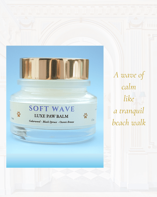 SOFT WAVE Paw Balm