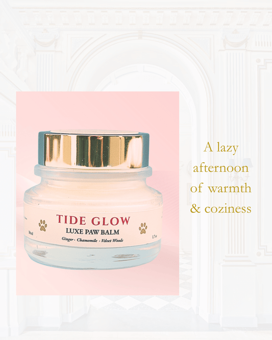 Tide Glow Paw Balm