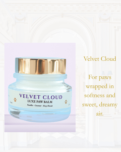 VELVET CLOUD Paw Balm