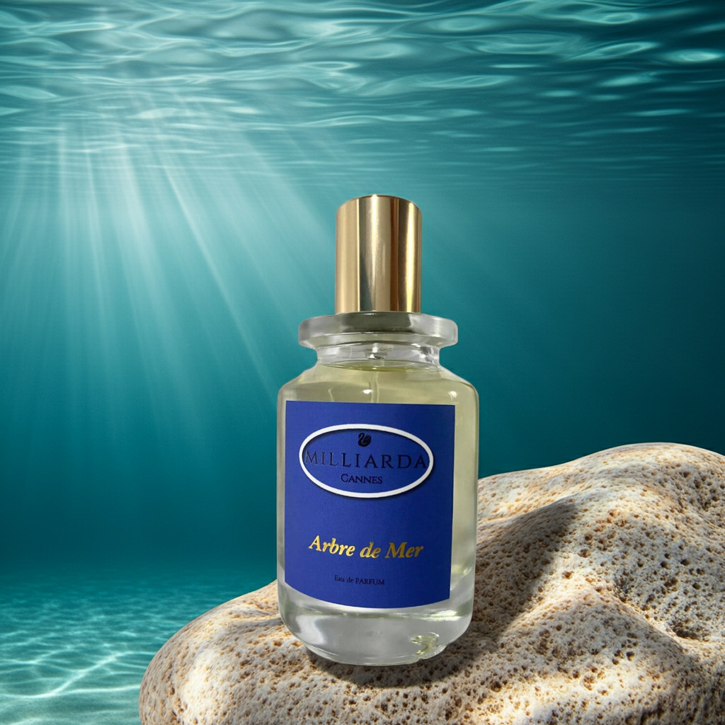 Arbre de Mer citrus and airy woods perfume photographed on a rock beneath the sea with sunrays filtering through water, inspired by Florida’s coral reefs.