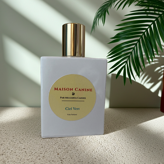Veil parfumé dog mist Ciel Vert by Maison Canine in white perfume bottle with gold cap on a textured surface with a neutral plant leaf background.